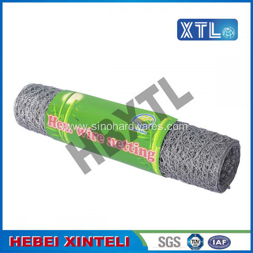 Chicken Wire Mesh for Plastering